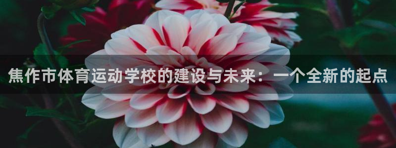 J9官方正版app娱乐下载:焦作市体育运动学校的建设与未来: