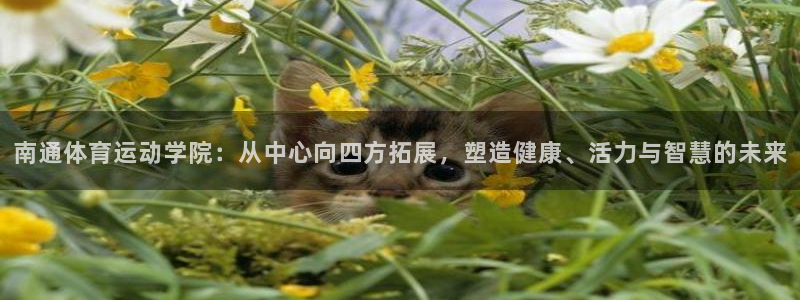 J9官网下载娱乐:南通体育运动学院:从中心向四方拓展,塑造健