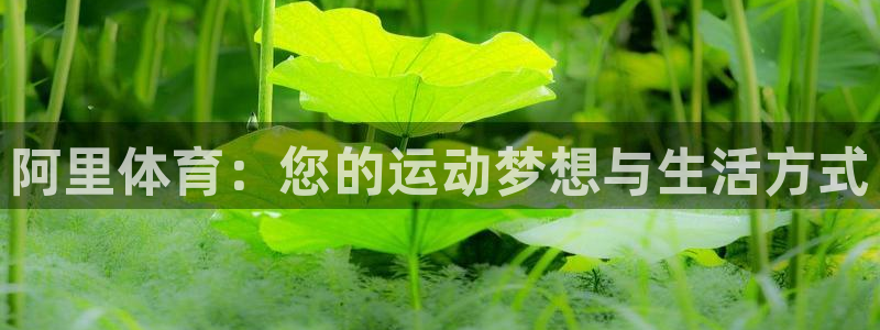 德国J9官方正版app集团:阿里体育:您的运动梦想与生活方式