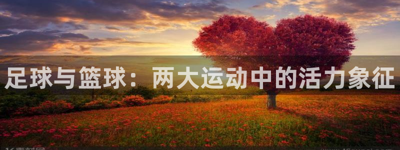 J9官网下载平台假的吗是真的吗:足球与篮球:两大运动中的活力
