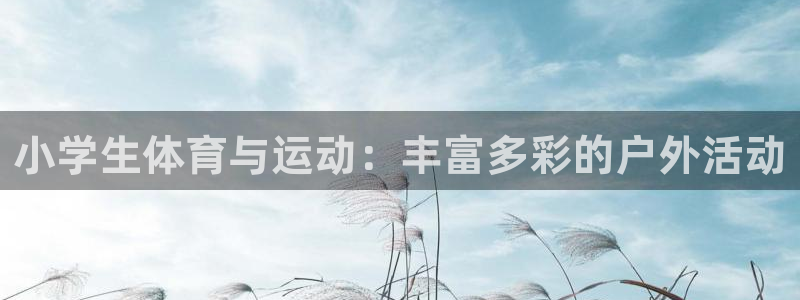 J9官网下载平台注册要钱吗安全吗:小学生体育与运动:丰富多彩