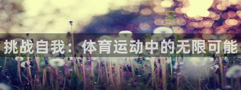 J9官方正版app官方:挑战自我:体育运动中的无限可能