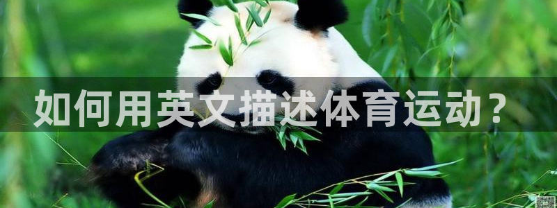 J9官网下载招商电话是多少:如何用英文描述体育运动?