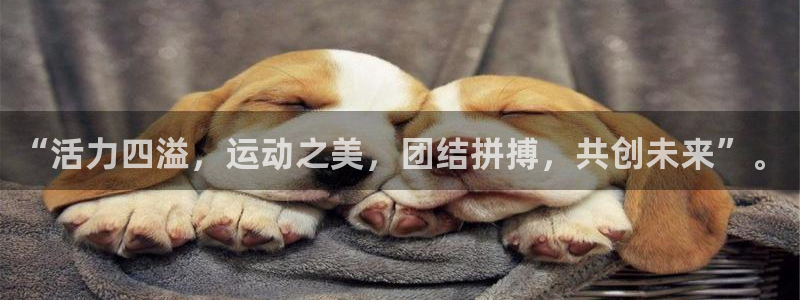 J9官方集团官网:“活力四溢,运动之美,团结拼搏,共创未来”